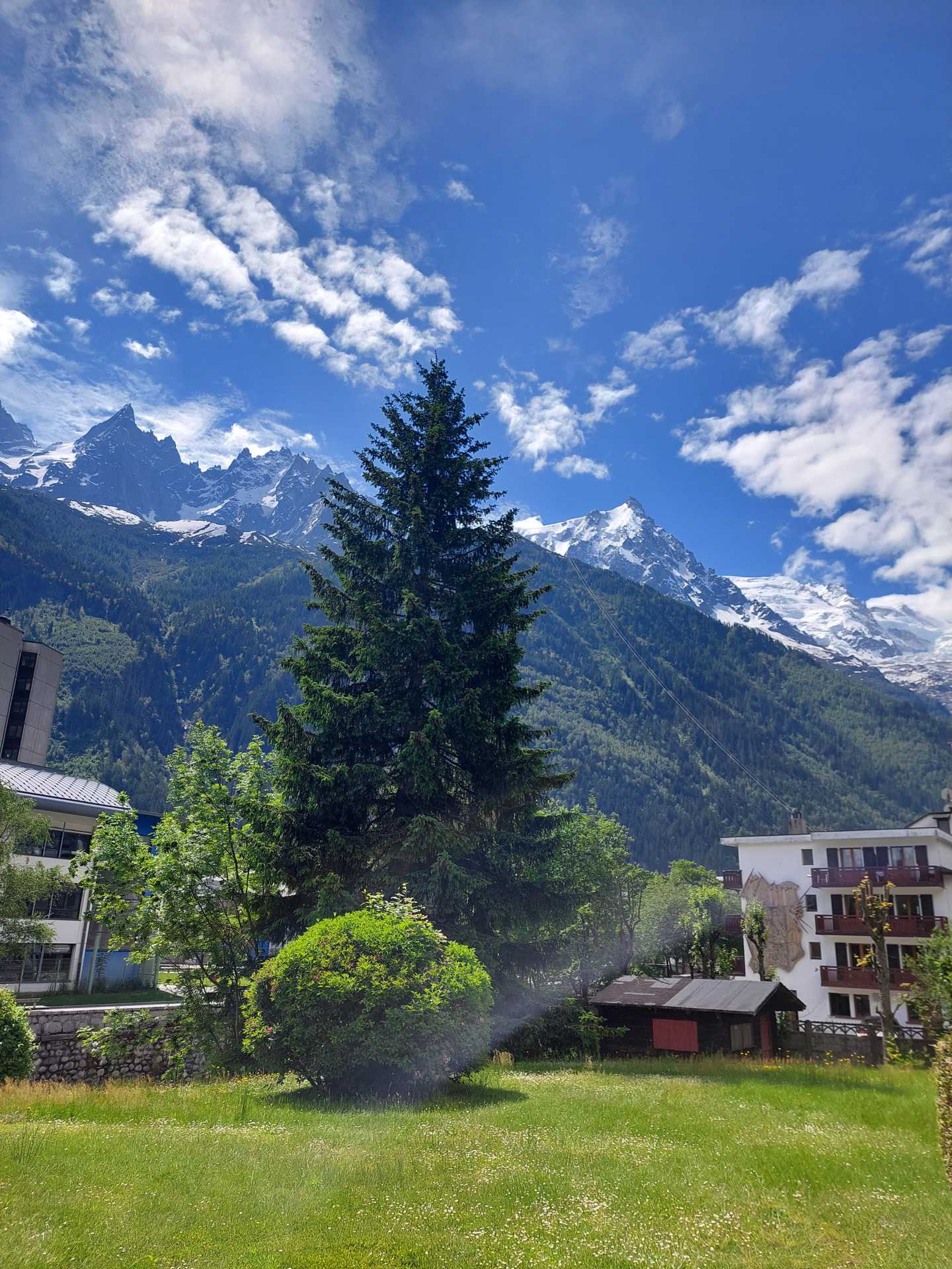 Studio - Résidence JARDINS MONT BLANC - CARLINA - ref JMB.2B1 - 12