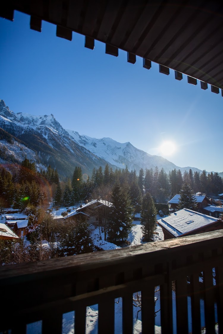 Studio - Résidence CHAMPRAZ 2 - GRAND BALCON - ref CHAMZ2.B34 - 19