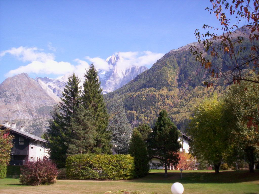 Studio - Résidence CHAMPRAZ 2 - GRAND BALCON - ref CHAMZ2.B34 - 9