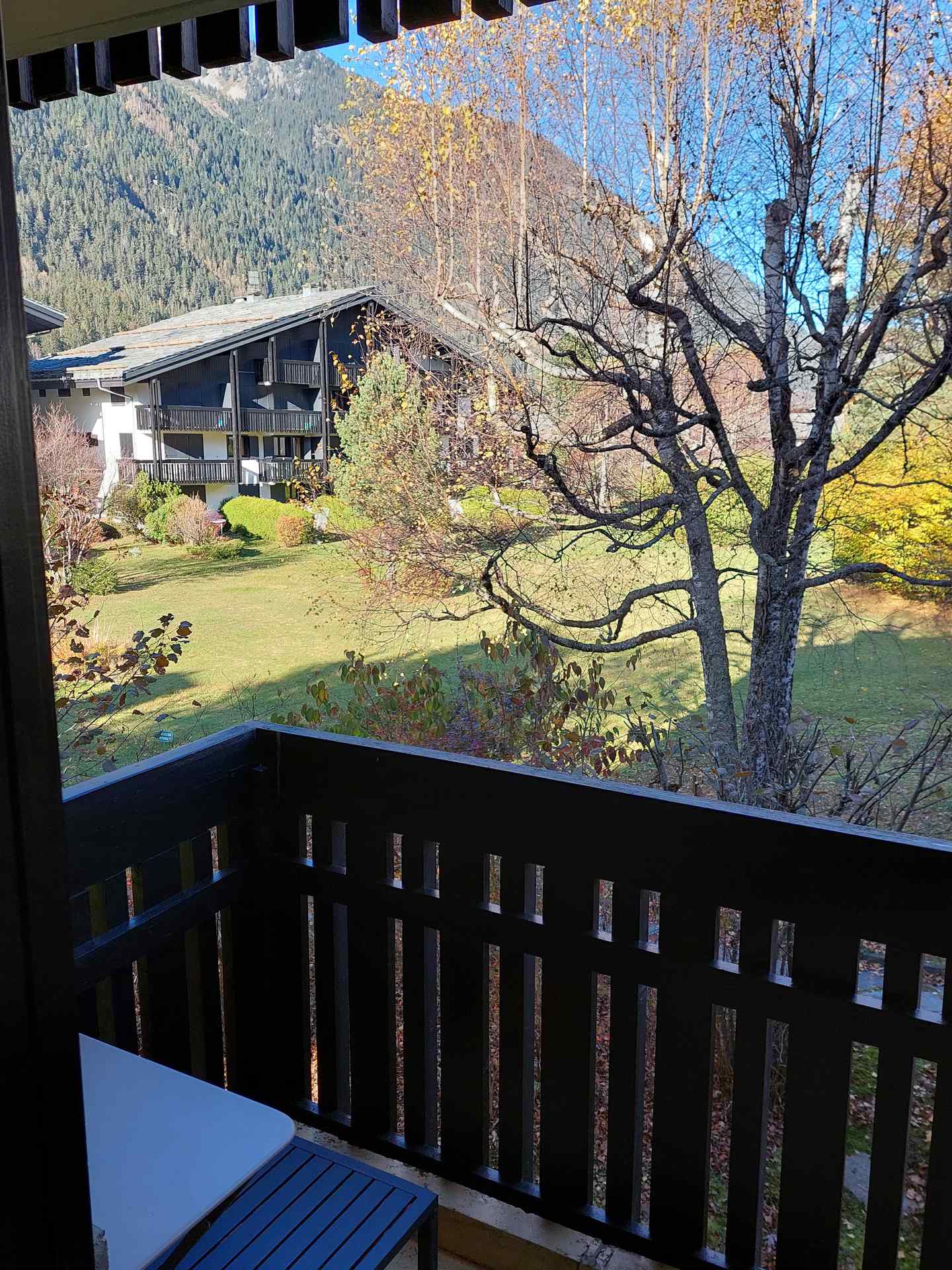 Studio - Residence CHAMPRAZ 1 - LA PALISSADE - ref CHAMZ1.PM11 - 8