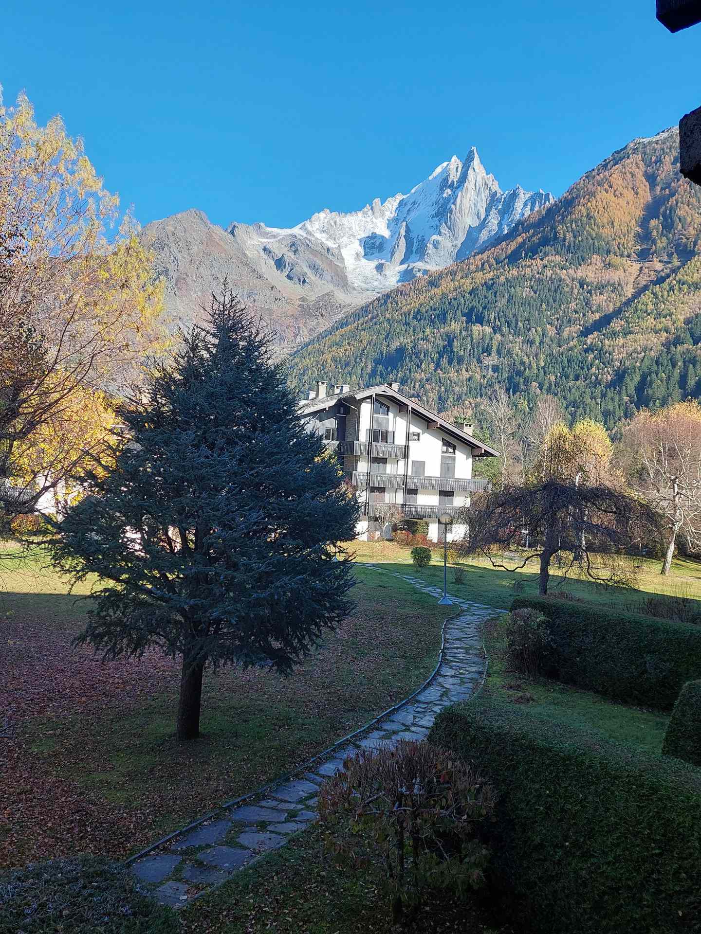 Studio - Residence CHAMPRAZ 1 - LA PALISSADE - ref CHAMZ1.PM11 - 9